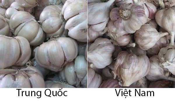 Nhận biết cực dễ rau củ quả Trung Quốc và Việt Nam bằng mắt thường qua những hình ảnh này