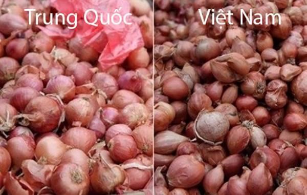 Nhận biết cực dễ rau củ quả Trung Quốc và Việt Nam bằng mắt thường qua những hình ảnh này