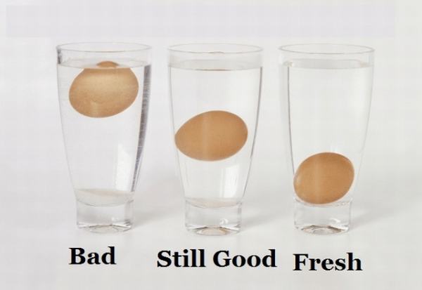 Tuyệt chiêu kiểm tra độ tuổi của từng quả trứng gà không phải ai cũng biết