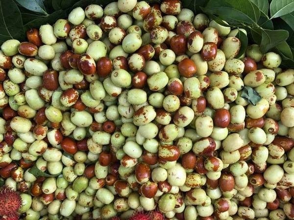 6 loại trái cây Trung Quốc đang tràn ngập chợ Việt Nam