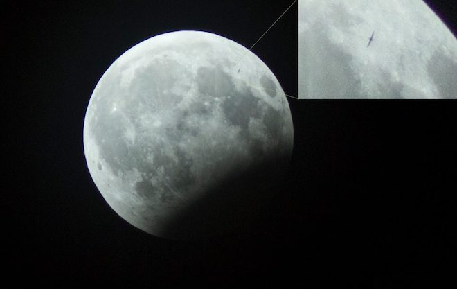 Phát hiện vật thể lạ trong ảnh gấu ăn trăng ở Hà Nội