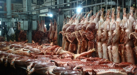 TP.HCM vẫn chưa thể truy xuất 100% thịt heo 