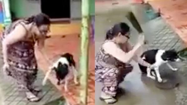 Bị công kích dữ dội, chủ nhân của chú chó bị chặt chân lên tiếng: 'Tôi chặt chân để bảo vệ nó'