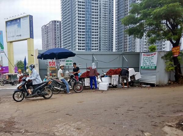Hà Nội: Nhiều người sốc vì bán trái cây phải có đăng ký kinh doanh