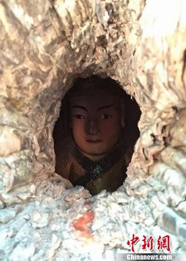 Kỳ lạ tượng Phật trong thân cây 1000 năm tuổi