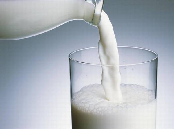Một phụ nữ mắc bệnh brucellosis do uống sữa nguyên chất