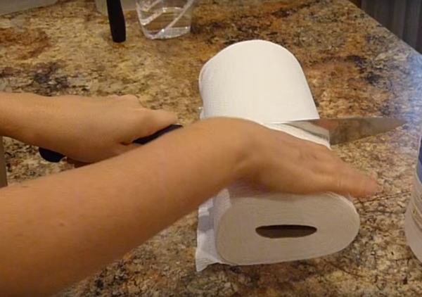 Đổ giấm vào cuộn giấy vệ sinh: Chị em tưởng 
