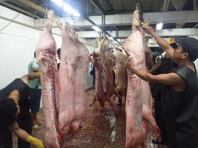 Giá lợn (heo) ngày 24/10: Thương lái Xuyên Á cam kết không tiêm thuốc an thần vào heo, Đông Nam Bộ giảm còn 25.000 đ/kg