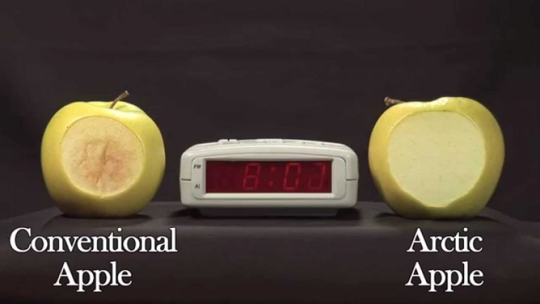 Giống táo đầu tiên trên thế giới không chuyển màu sau khi gọt