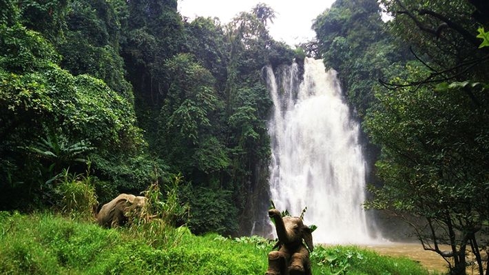 Ngây ngất với vẻ đẹp ngoạn mục của những thác nước ở Lâm Đồng