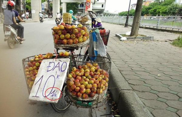 Thị trường trái cây bao giờ được quản lý?
