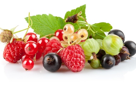 Tránh xa các loại hoa quả dễ gây ngộ độc cho bé