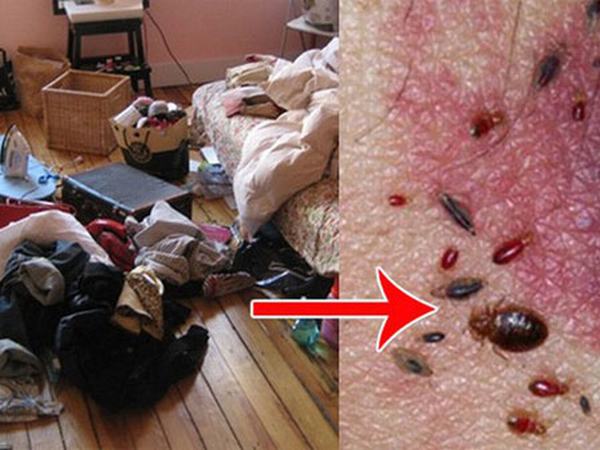 Vứt quần áo bẩn trên giường có ngày cả nhà bị nhiễm trùng vì 'thủ phạm' này