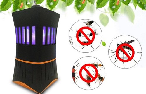 4 cách đuổi muỗi trong phòng ngủ cực kỳ hiệu quả mà lại dễ làm
