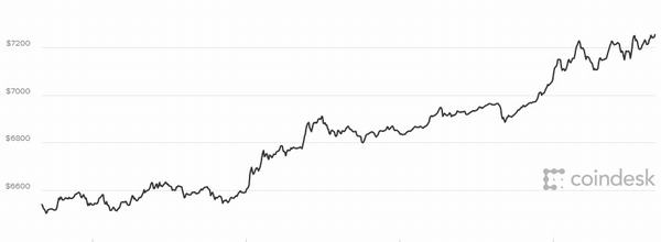 Giá Bitcoin hôm nay 16/11: Tăng chóng mặt lên 7.200 USD, nguy cơ sập sàn
