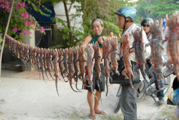 Những khu chợ độc, lạ chỉ có ở Việt Nam