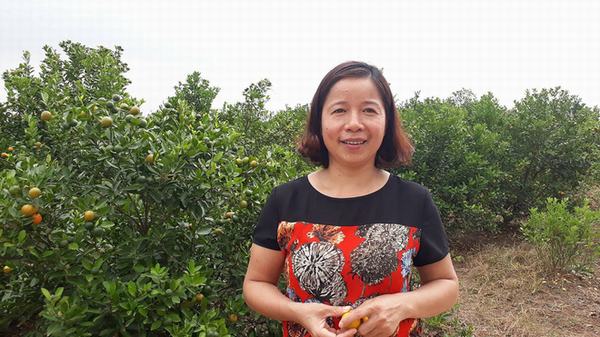 Sợ kháng sinh, mẹ Việt tự tay làm siro ho cho con: Cẩn thận nguy cơ nhiễm độc, ngộ độc