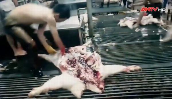 Sự thật về thịt lợn giá rẻ bán tràn lan, vừa rã đông giòi đã bò lổm nhổm
