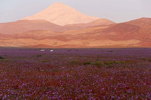 bestie hoang mạcRùng mình những hiện tượng kỳ quái đang xảy ra khắp nơi trên thế giới Atacama