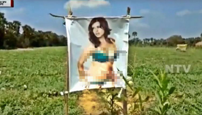 Trang trại trồng toàn rau quả mà xuất hiện hình ảnh nữ diễn viên khiêu dâm, khi ông chủ nói lý do thì ai cũng phải ôm bụng cười - Ảnh 2.