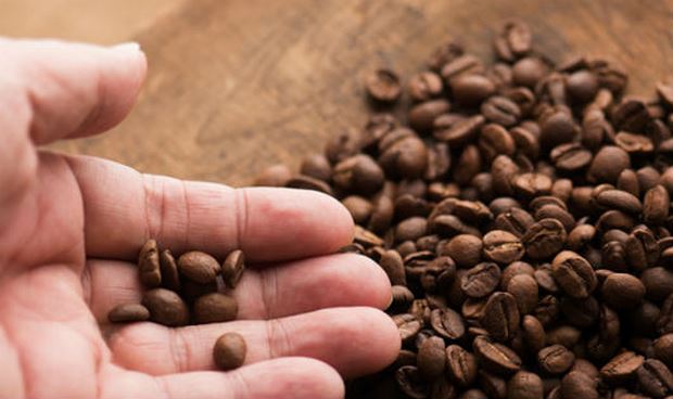 4 sai lầm trong bảo quản cà phê mà bạn hay mắc phải