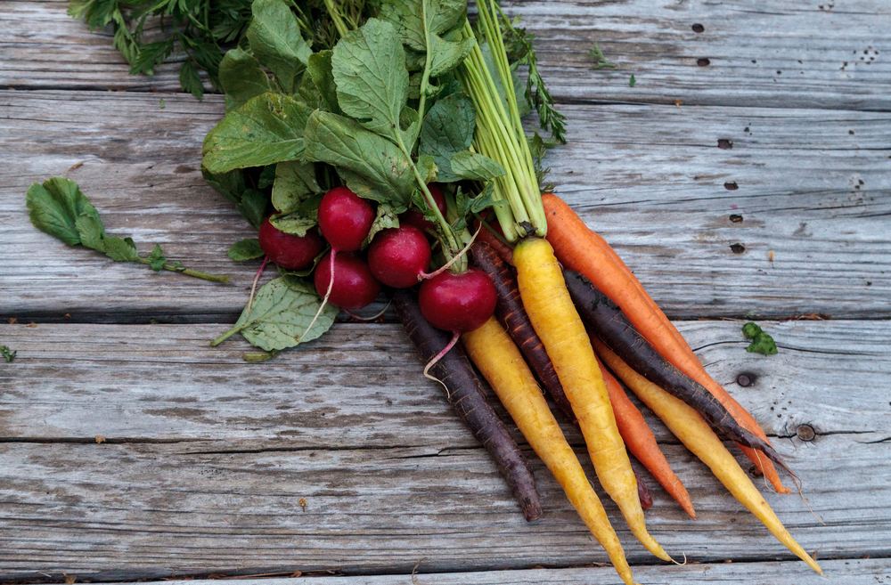 5 tác dụng của củ cải đỏ trong các vấn đề liên quan đến tiêu hóa, tim mạch và hô hấp
