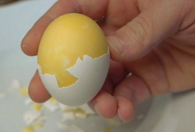 8 món trứng là đặc sản nhưng không phải ai cũng đủ can đảm để thử hết