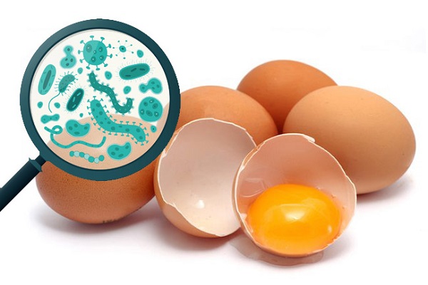 Mỹ thu hồi hơn 200.000 quả trứng vì nghi nhiễm khuẩn Salmonella