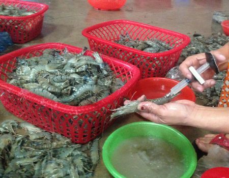 Quảng Ninh: Bắt giữ 360 kg chất phụ gia, có nguồn gốc xuất xứ từ Trung Quốc