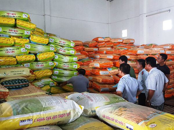 Phát hiện nhiều cơ sở kinh doanh lúa giống giả ở Đồng Tháp: Nông dân lãnh đủ