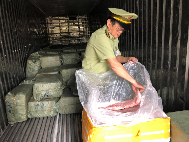  Đội 2 Quản lý thị trường phối hợp với lực lượng chức năng TP Đà Nẵng vừa bắt giữ khoảng 7 tấn vú heo và các nội tạng khác bốc mùi hôi thối đang trên đường đi tiêu thụ.