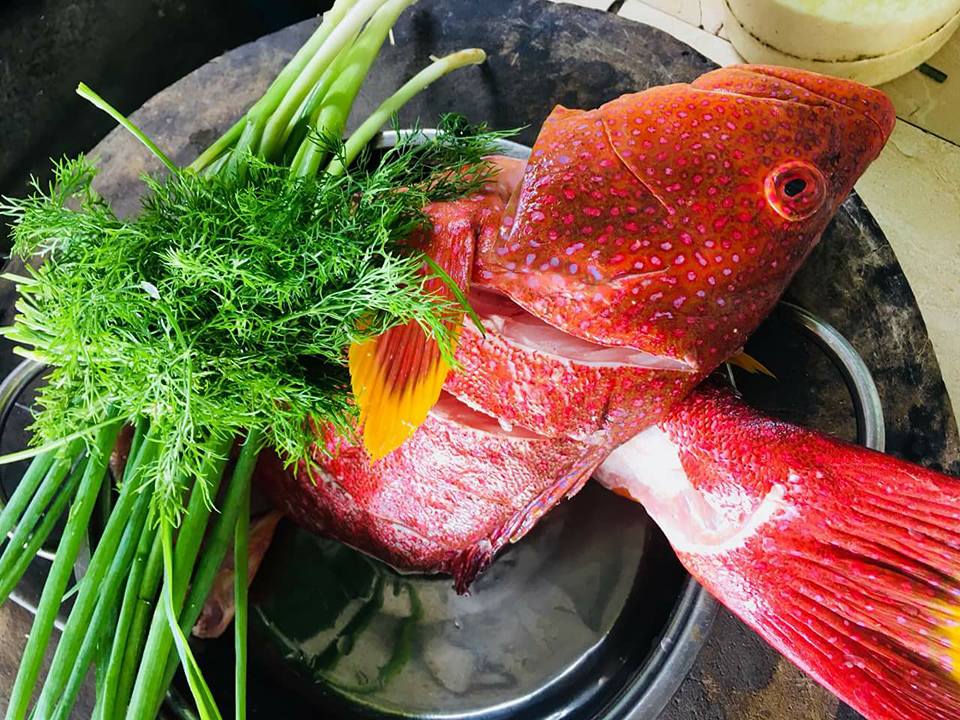 Cá mú đỏ chục triệu đồng/con nhà giàu Việt mua để tủ lạnh ăn dần