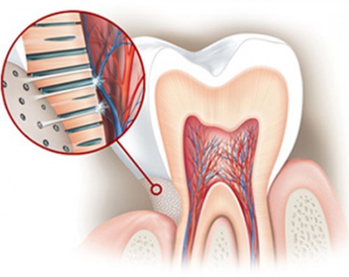 Cảnh giác với những bệnh lý răng miệng thường gặp ở phụ nữ mang thai