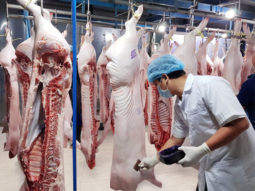 Mỗi tháng xuất khẩu 26 tấn thịt lợn, giá bán cao 