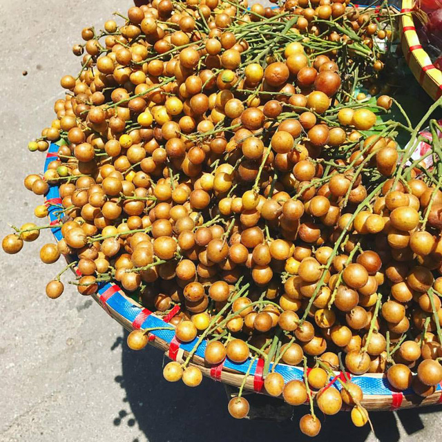 Những loại quả rẻ như cho ở nhà quê nhưng đắt đỏ ngang trái cây nhập khẩu tại Hà Nội