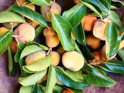 Những loại quả rẻ như cho ở nhà quê nhưng đắt đỏ ngang trái cây nhập khẩu tại Hà Nội