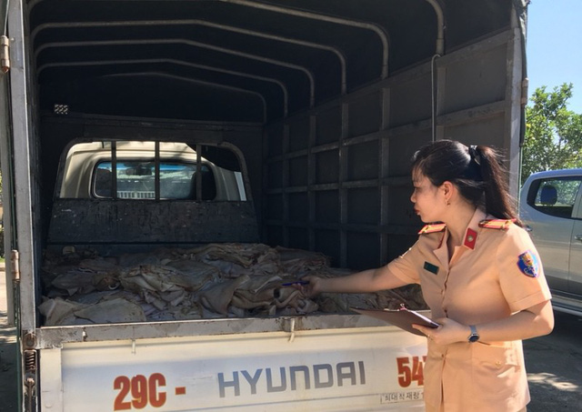 Bắt giữ xe tải chở 1 tấn bì lợn bốc mùi hôi thối chuẩn bị 