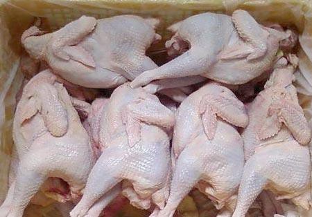 Trên thị trường hiện nay xuất hiện gà mái đẻ với giá chỉ 40.000-50.000 đồng/kg.
