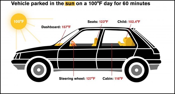 Ngồi trong xe ô tô thường xuyên phơi nắng có thể dẫn tới ung thư
