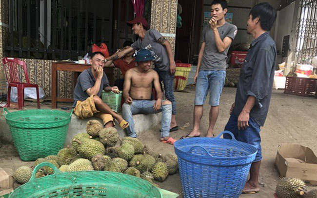 Giá hạt sầu riêng tăng gần 100.000 đồng/kg, tỉnh Lâm Đồng nói gì?