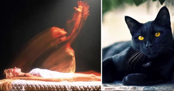 Lý giải hiện tượng quỷ nhập tràng - mèo nhảy qua xác chết