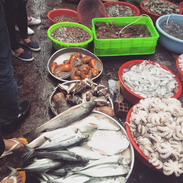 Những chợ hải sản rẻ nhất Vũng Tàu, vừa tươi vừa không lo chặt chém