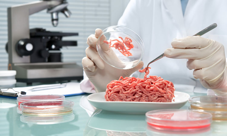 Bằng chứng đầu tiên xác định về khuẩn E. coli trong thịt bán lẻ kháng thuốc