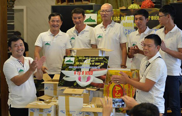 Đà Nẵng: Chi 6,8 tỉ đồng chỉ để mua một cây lan
