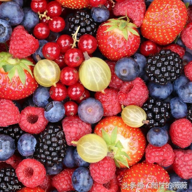 Mẹo bảo quản hoa quả và giữ rau tươi lâu hơn
