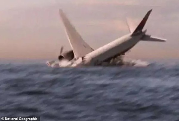 Nhiều tin đồn về đời tư gây sốc của cơ trưởng MH 370 được phát tán sau hơn 4 năm máy bay mất tích