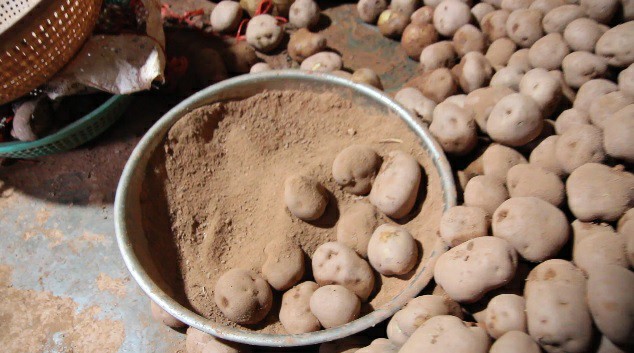 Sốc: 578 tấn khoai tây Trung Quốc nhập về Đà Lạt chỉ trong 90 ngày