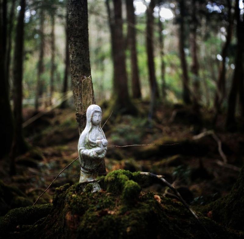 Aokigahara: Khu rừng khiến hàng nghìn người tự sát tại Nhật Bản