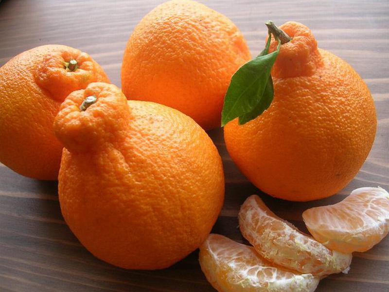 Cam Dekopon hơn 300.000/quả, mọng nước hơn bất cứ loại cam nào khác
