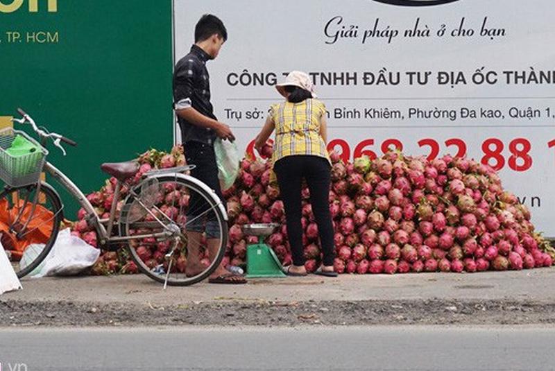 Thanh long Bình Thuận bán lề đường giá 15.000 đồng 2 kg